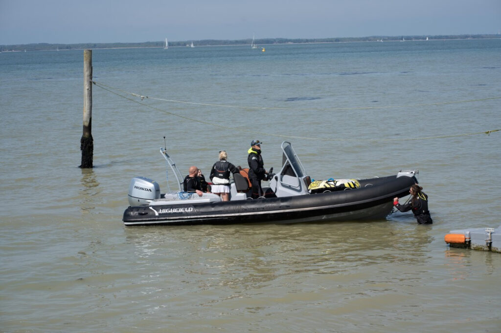 boat trips