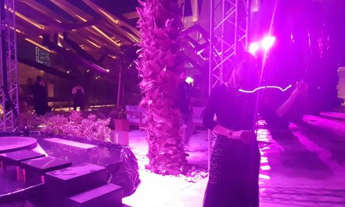 Event production team booked international Violinist who performed in venue space as part of Kuwait brand activation event